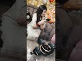 Happy Birthday Punjabi Song Short Video Sister S Special Birthday Song Bomb Birthday Cake
