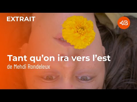 Nos 12 films d'aventure plein de rebondissements en VIDÉO - KuB