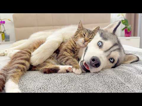 YouTube 썸네일