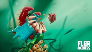 Flea Madness mayhem