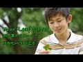 eiku harmonize - Four-leaf clover - MUSIC VIDEO ...