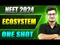 ECOSYSTEM In 1 Shot FULL CHAPTER COVERAGE Theory PYQs Prachand NEET