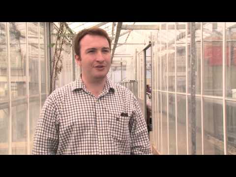 Research update: Alex McCormack