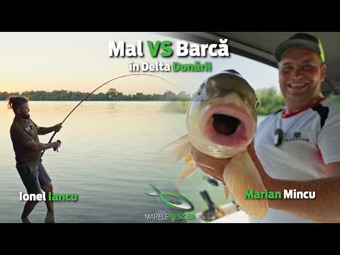 Pescuit la crap in Delta Dunarii - Experienta completa, de pe mal si din barca | MarelePescar