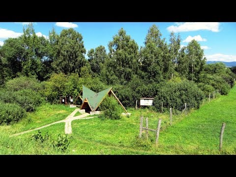 Rezervația naturală Mlaștina BORȘAROȘ (Sâncrăieni, Harghita, România)