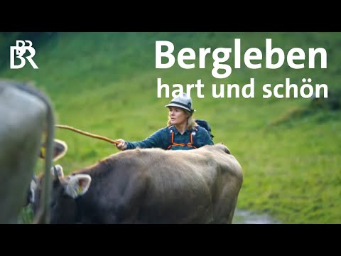 Traumjob Berghütte: Wie hart ist das Arbeiten auf einer Almwirtschaft? | Bergfreundinnen | BR