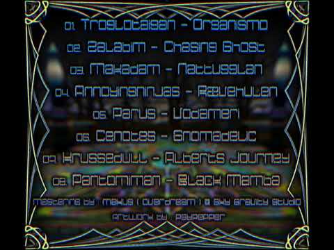 08 Pantomiman - Black Mamba