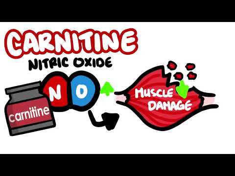 What is CARNITINE and Is It Worth Taking? | QuickFIT #2