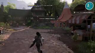 ＃05【配信】これはゲームであって遊びではない【Echoes of Ainclad】