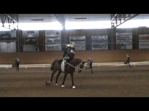 TEAM SVEA  Freestyle 2013