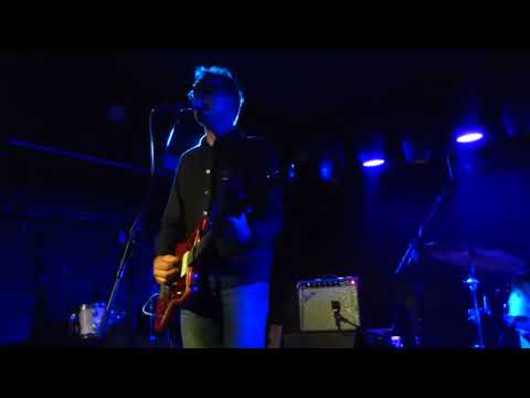 Mike Viola - Hair of the Dog (Live 4/30/2022)