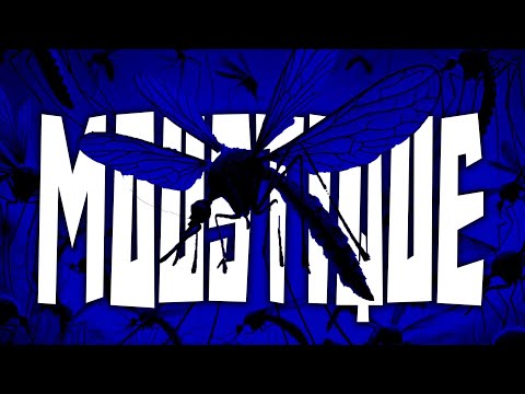 Nothier baws - moustique (soso) [ audio official ]