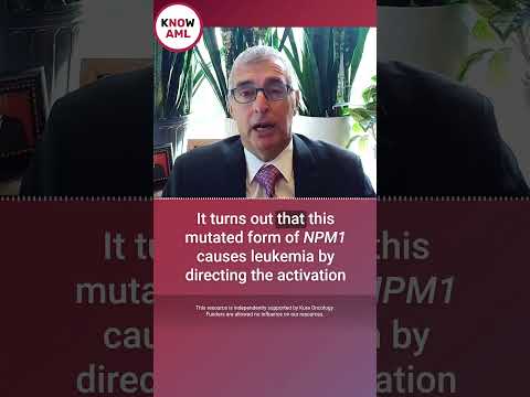 NPM1 mutations in AML: What are they, and how do they influence the treatment of AML?