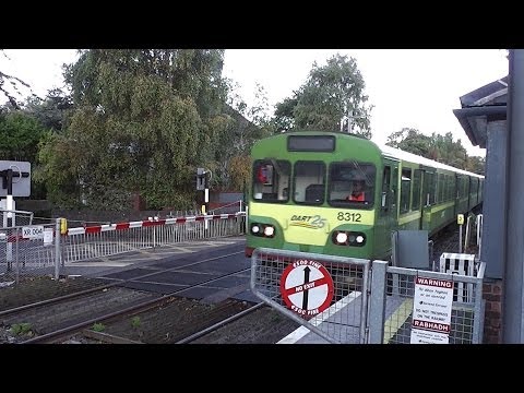 Level Crossing - Sydney Parade, Dublin - Dart Train number 8312