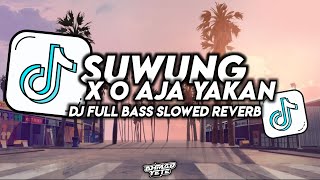 Download lagu DJ SUWUNG O AJA YAKAN FULL BASS VIRAL TIKTOK DJ TIKTOK FULL BASS SLOWED REVERB YANG KALIAN CARI CARI mp3