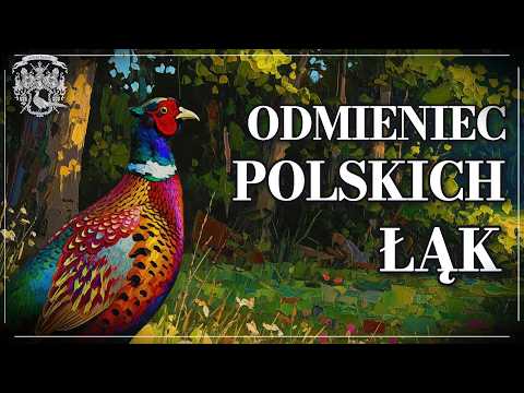 It shouldn't be in Poland - PHEASANT - Where did it come from?