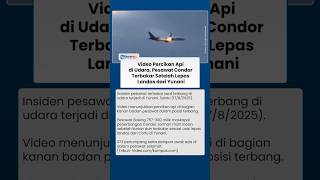 Detik-detik Pesawat Terbakar di Udara Usai Lepas Landas dari Yunani, 281 Nyawa Selamat Secara Ajaib