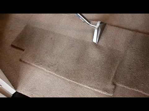 download lagu mp3 mp4 Iclean Carpet Cleaning, download lagu Iclean Carpet Cleaning gratis, unduh video klip Iclean Carpet Cleaning