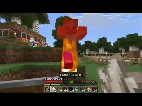 Minecraft Survival Episode 141 House Chicken