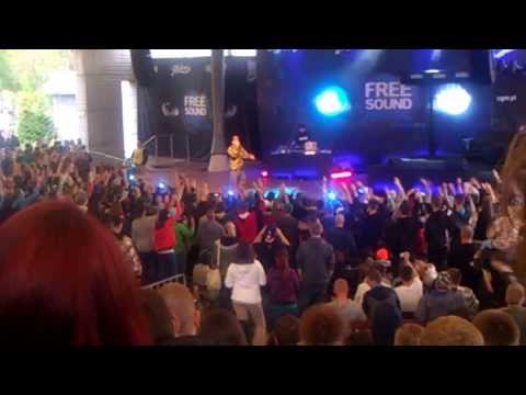 free sound festival bemowo 2013 1 Pelson