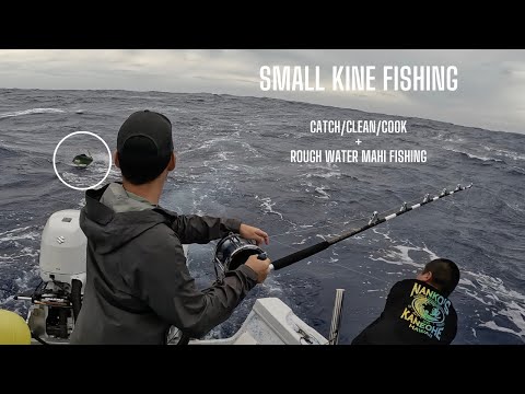 [SMALL KINE] ROUGH WATER FISHING + Catch/Clean/Cook