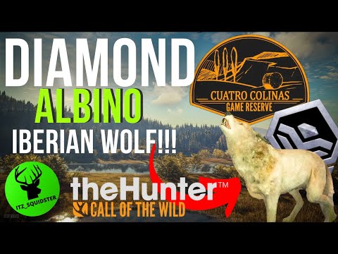 Get an DIAMOND ALBINO Iberian Wolf EASY!! - Call of The Wild