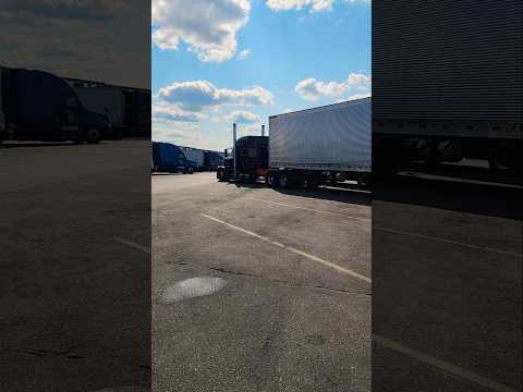 Spotted a nice 389 #shorts #shortsfeed #peterbilt #trucks #truckdriver #bluecollar #truck #diesel