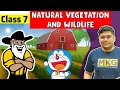 Natural Vegetation And Wildlife Class 7 Class 7 Geography Chapter 6