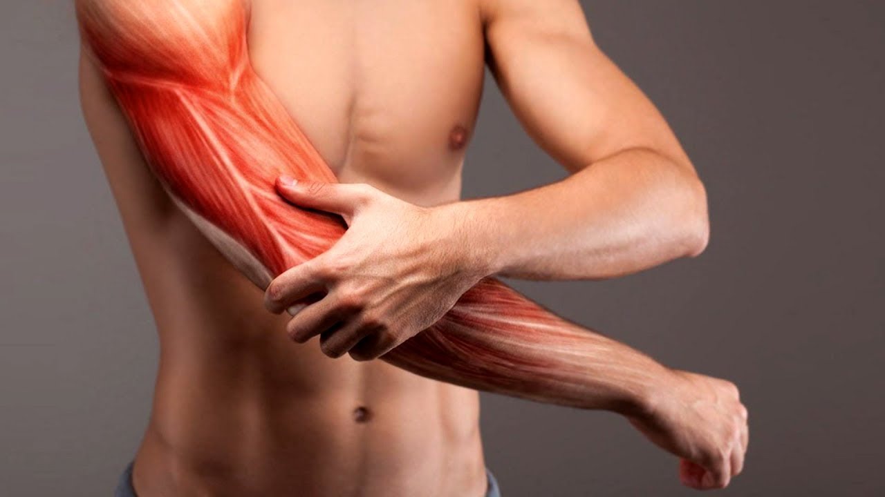 Боль в мышцах: как с нею справиться