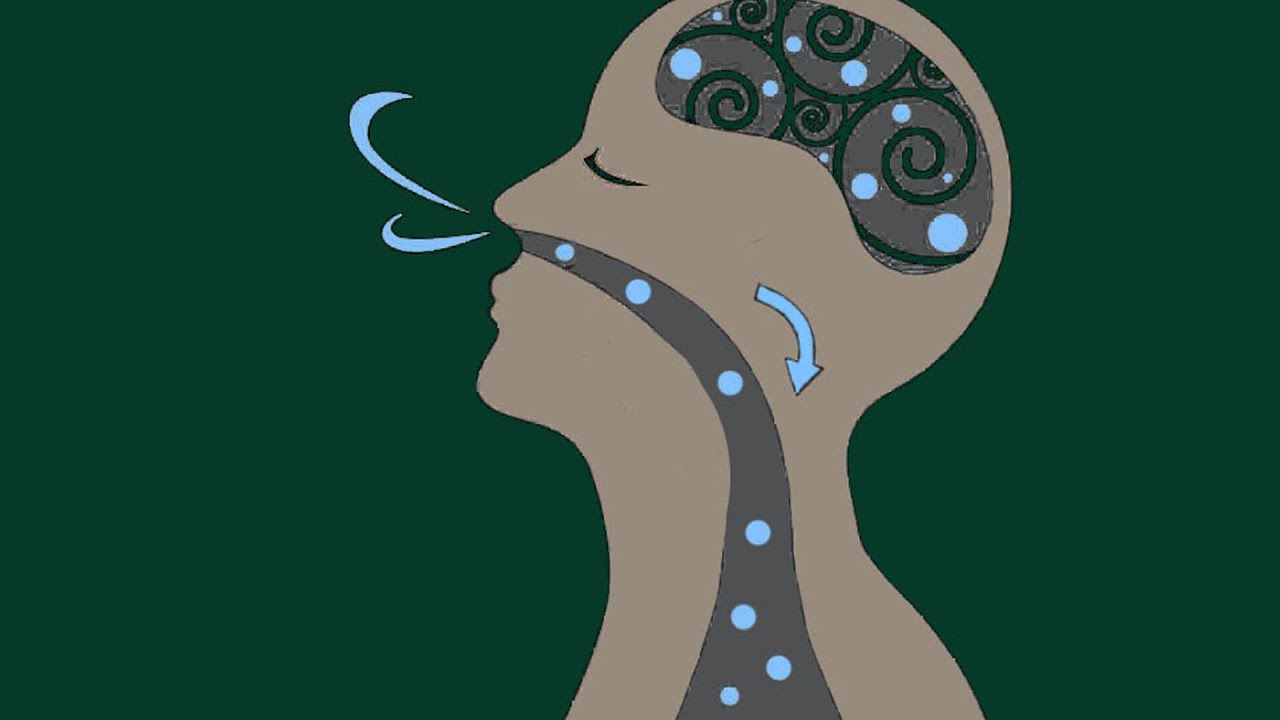 Meditation Toolkit II: Vipassanā