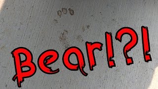 A BBQ, a Burn, and Maybe a Bear!