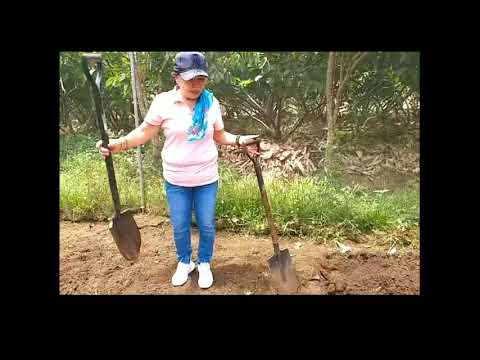 Land Preparation (Prepare Land for Agricultural Crop Production)