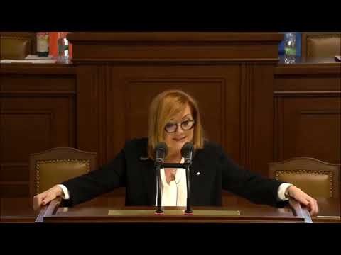 Schillerová ve sněmovně: cenová regulace paliv, Eurostat data a paralela s rokem 2022