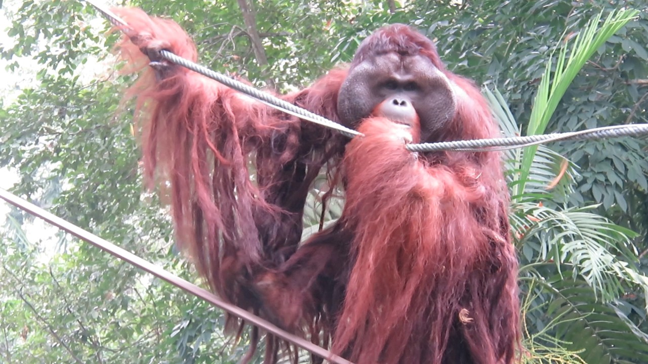 Introducing the New Team Members / 新しいチームになったメンバーを紹介します