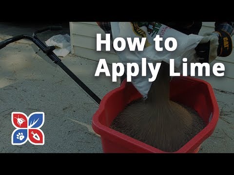  Do My Own Lawn Care - How to Apply Lime in the Yard Video 