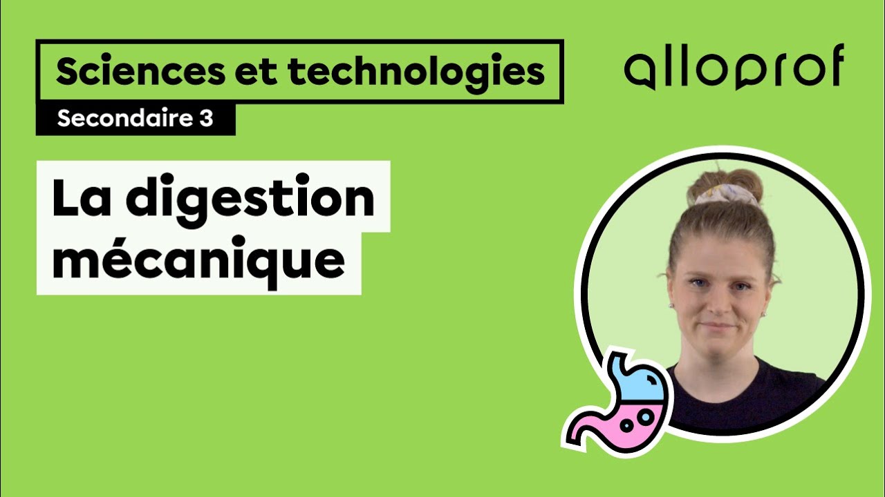 La digestion mécanique