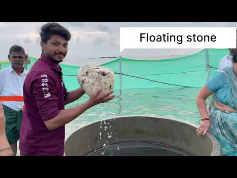 “Bangalore to Rameshwaram 🌸✨”#youtube #TamilNadu #SouthIndia #TravelDiaries #TempleTour #Wanderlust