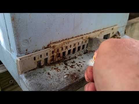 How to clean the mouse guard / queen excluder on the lyson polystyrene hives.