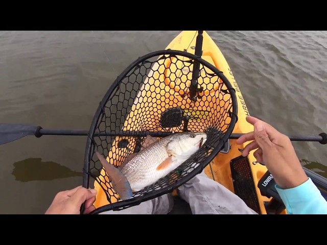 Matagorda mud donkeys on Micro Topwaters, Kayak fishing Texas