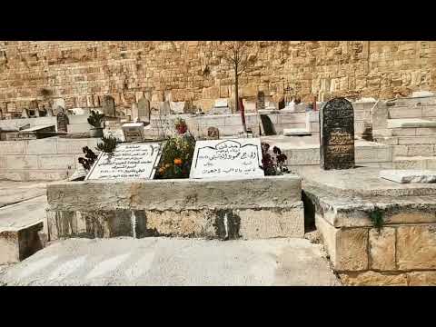 Peregrinación a Tierra Santa 17 Parte - Cementerio de los Musulmanes junto a la Puerta Dorada