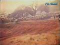 Hawkstone Park 1960