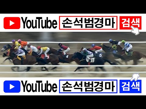 11/2-(토)-손석범-최고청취/제메36.6배+중배당완짱/복17.8배[가야할마필]..