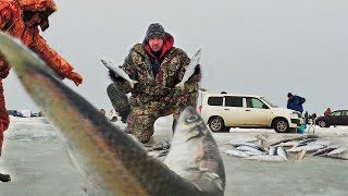 С днем рыбалка приморье