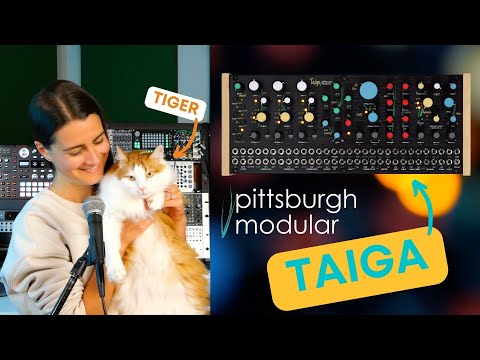 Pittsburgh Modular Taiga: Experiments in Waveshaping & Chaos