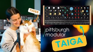 Video thumbnail for Pittsburgh Modular Taiga: Experiments in Waveshaping & Chaos by Sarah Belle Reid