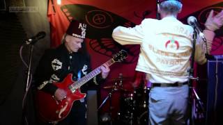 Awkward Squad - The Bubble - Belvedere | Live at Captain Toms