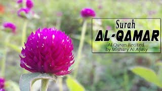Download lagu Surah Al Qamar - Al Quran Recited by Mishary Al Afasy #54 - سورة القمر mp3