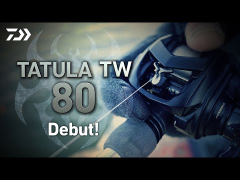 Multiplicator Daiwa Tatula TW 80L LH
