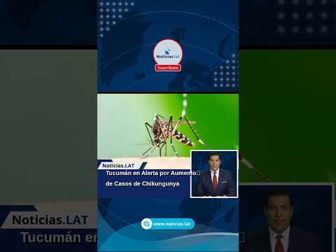 Tucumán en Alerta por Aumento de Casos de Chikungunya