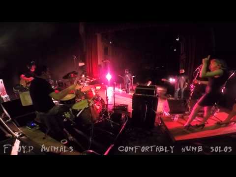 Antonio Cordaro  - Comfortably numb (Pink Floyd) solos with Floyd Animals
